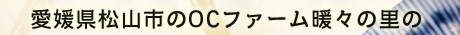 愛媛県松山市